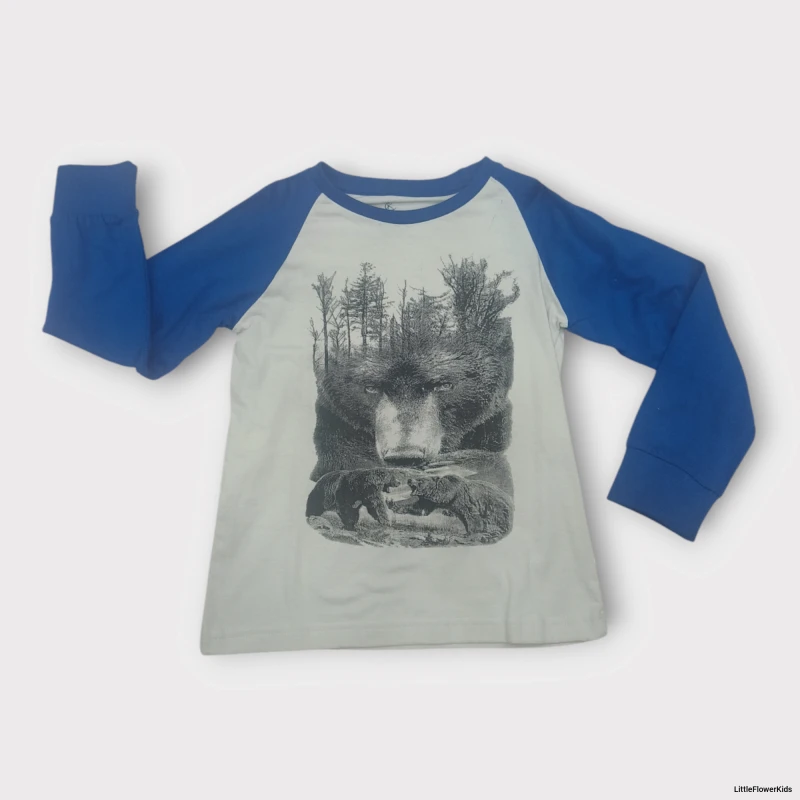 Bear print Full sleeve T-shirt