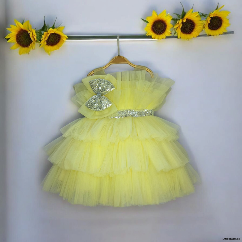 Princess Baby Girl Dress