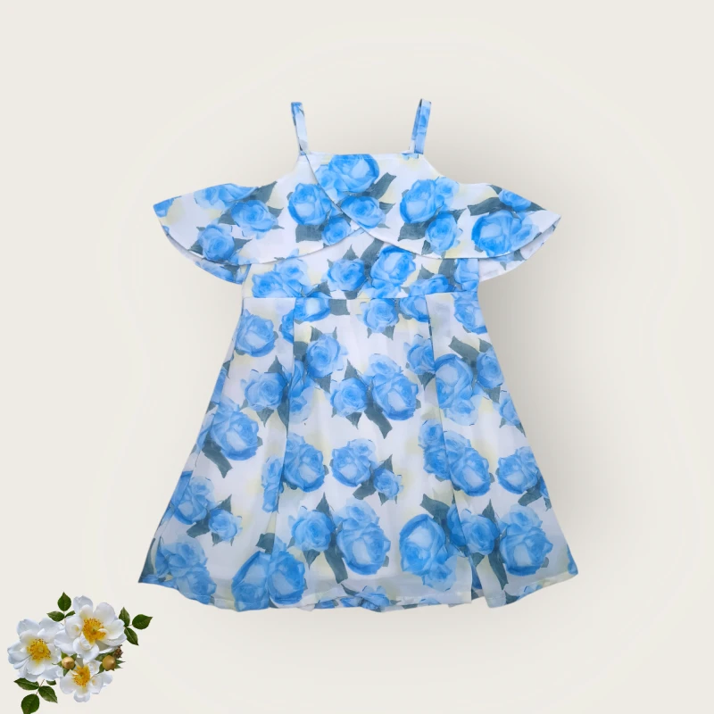 Blue rose georgette dress
