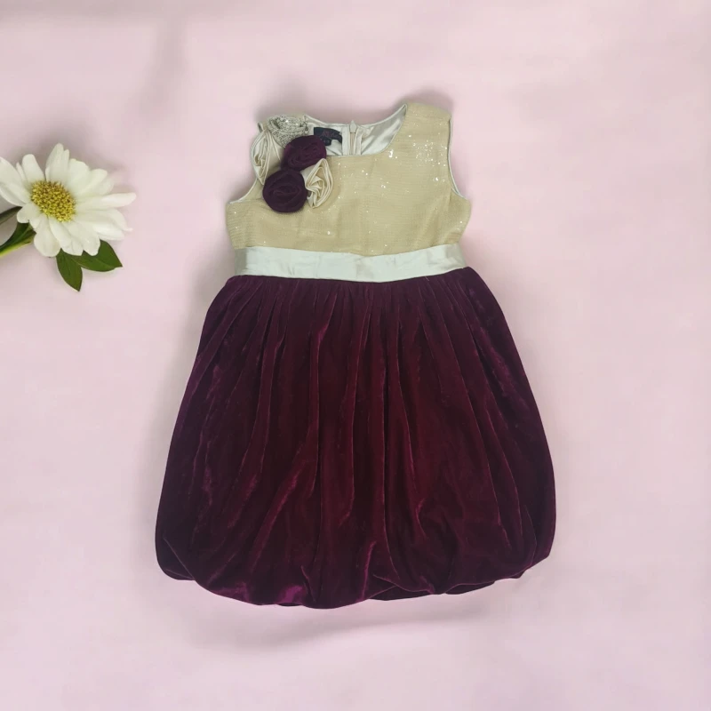 Ivory and Purple Velvet Frock