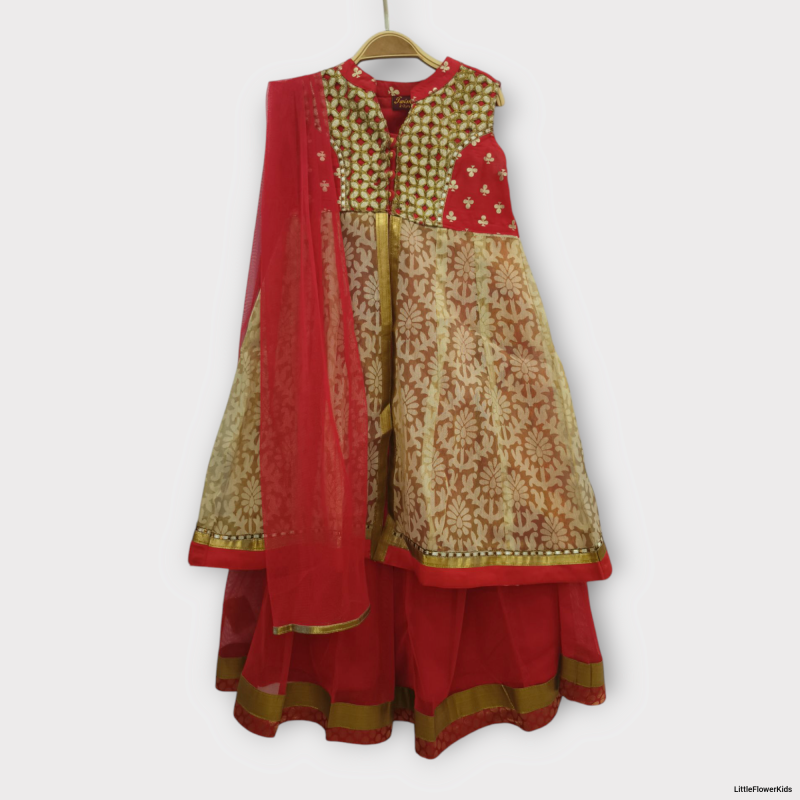 Girls Lehenga Choli Ethnic Wear